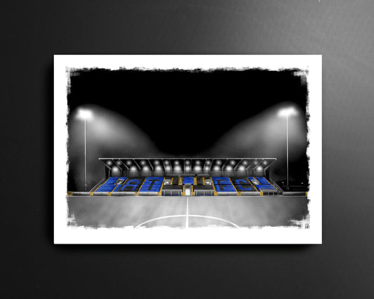 Lissywollen Athlone Town Stadium League of Ireland Football Print