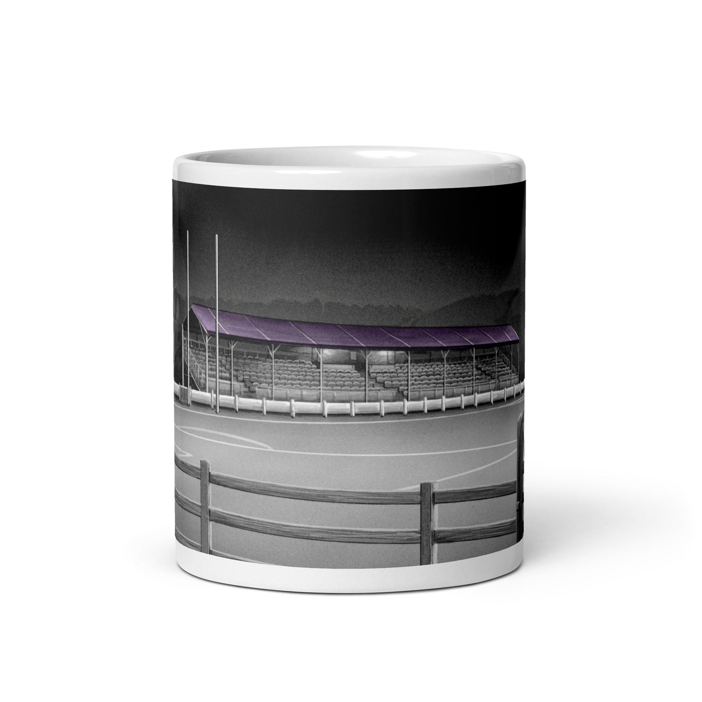 Ferrycarrig Park Wexford Youths/Wexford FC glossy mug