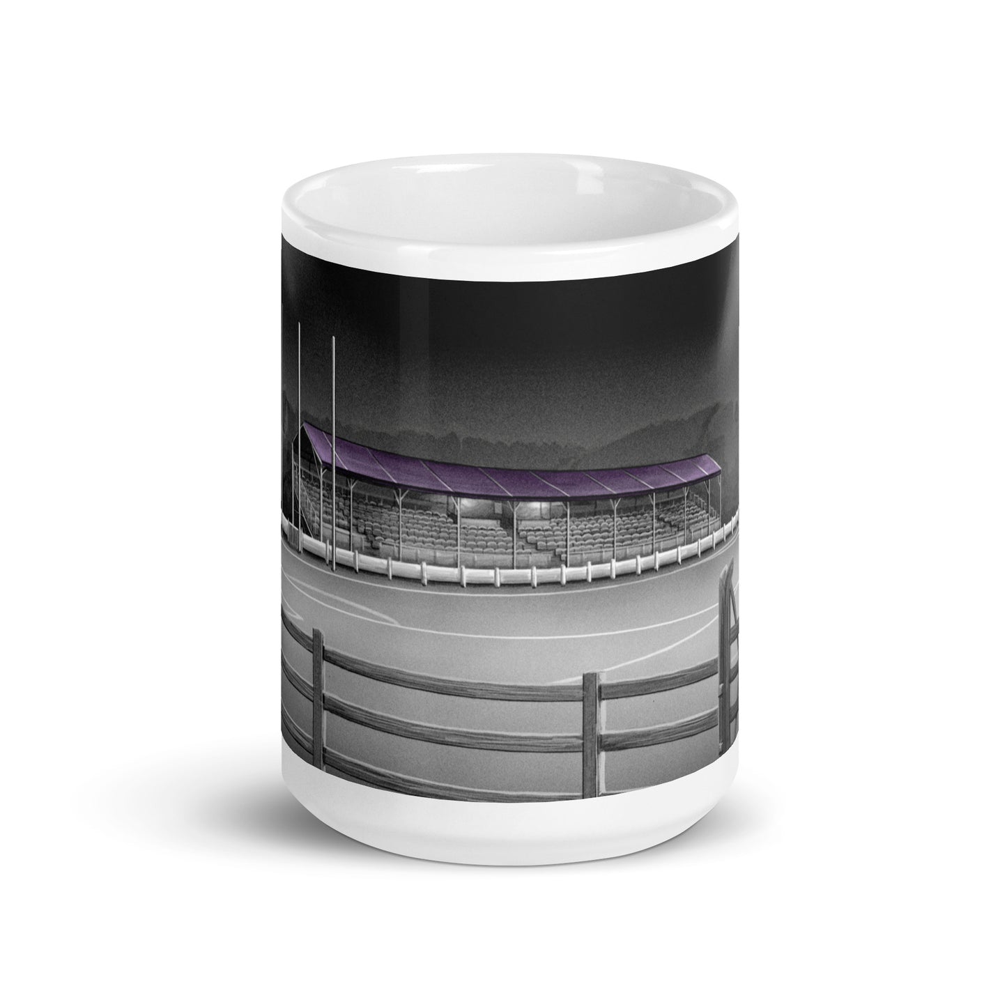 Ferrycarrig Park Wexford Youths/Wexford FC glossy mug