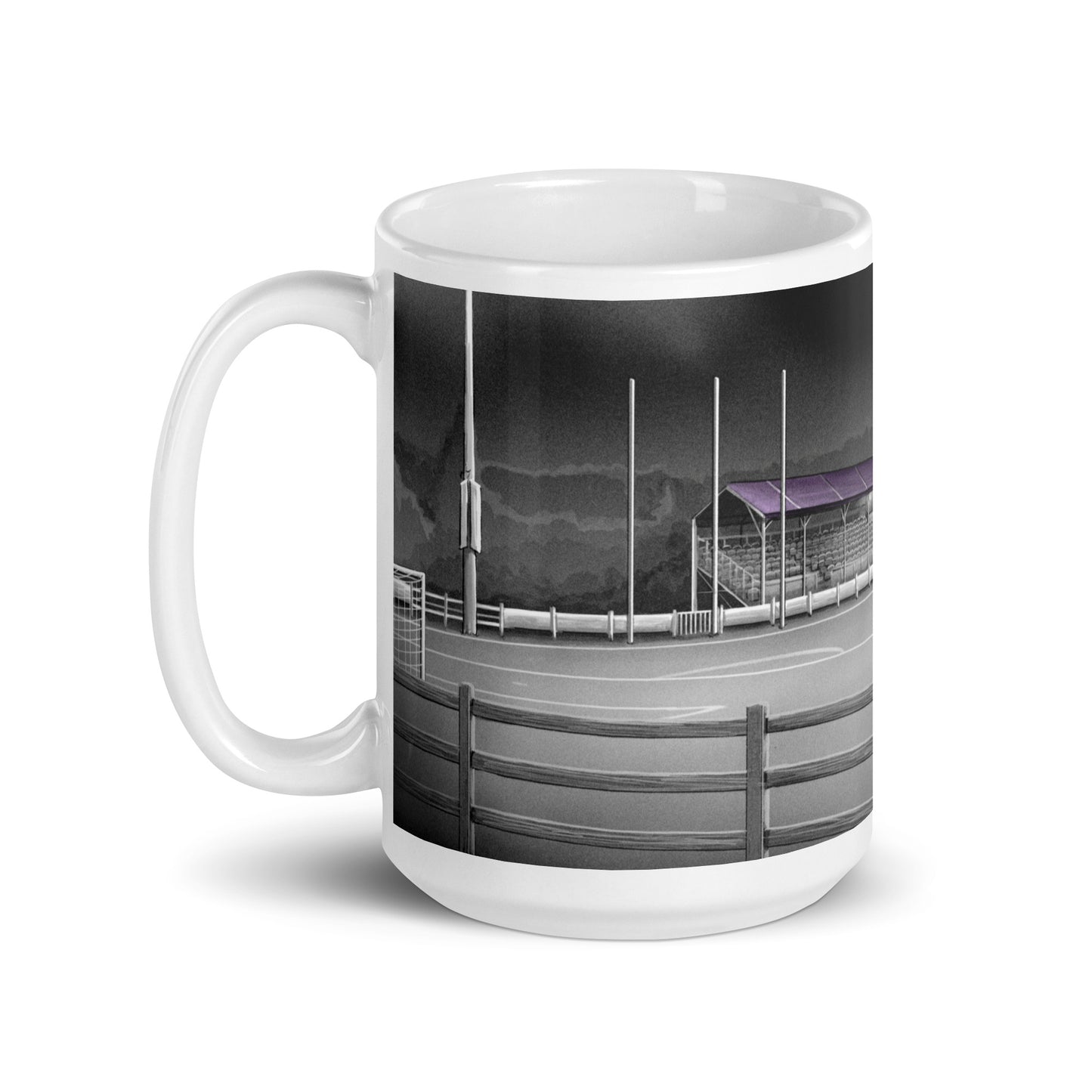 Ferrycarrig Park Wexford Youths/Wexford FC glossy mug