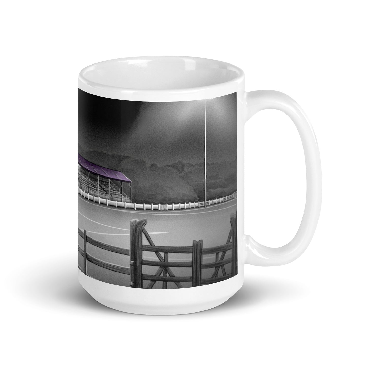 Ferrycarrig Park Wexford Youths/Wexford FC glossy mug