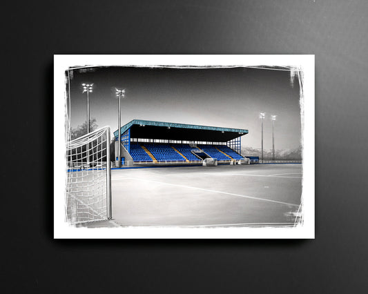 The RSC Waterford FC League of Ireland Football Print
