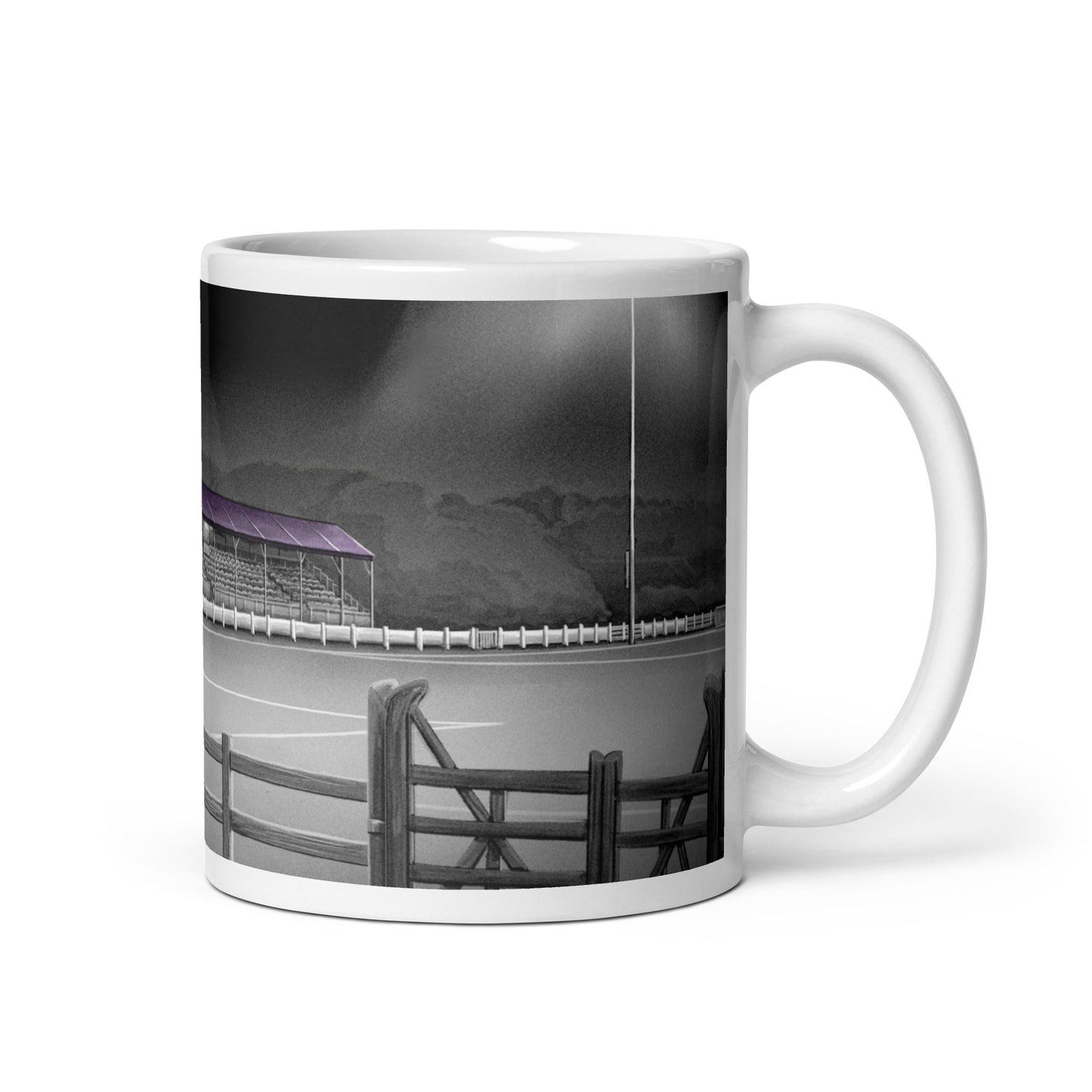 Ferrycarrig Park Wexford Youths/Wexford FC glossy mug